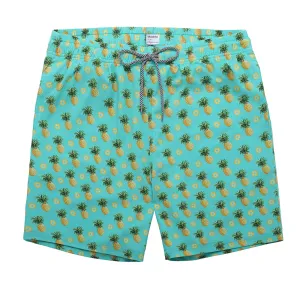 Men's swimming trunks quick dry beach shorts